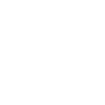 Realtor